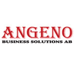 Angeno Business Solutions