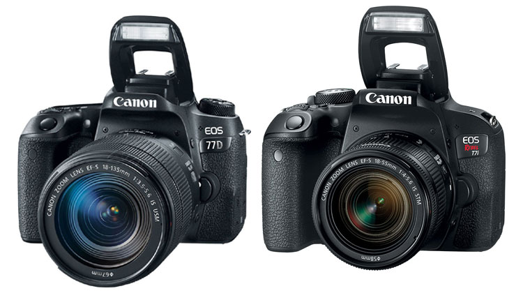 ID photo with Canon SLR cameras